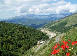 Qarabağ və Şərqi Zəngəzurda böyük investisiya layihələri: 25 milyard manatdan çox...